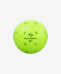 GB1 Pickleball